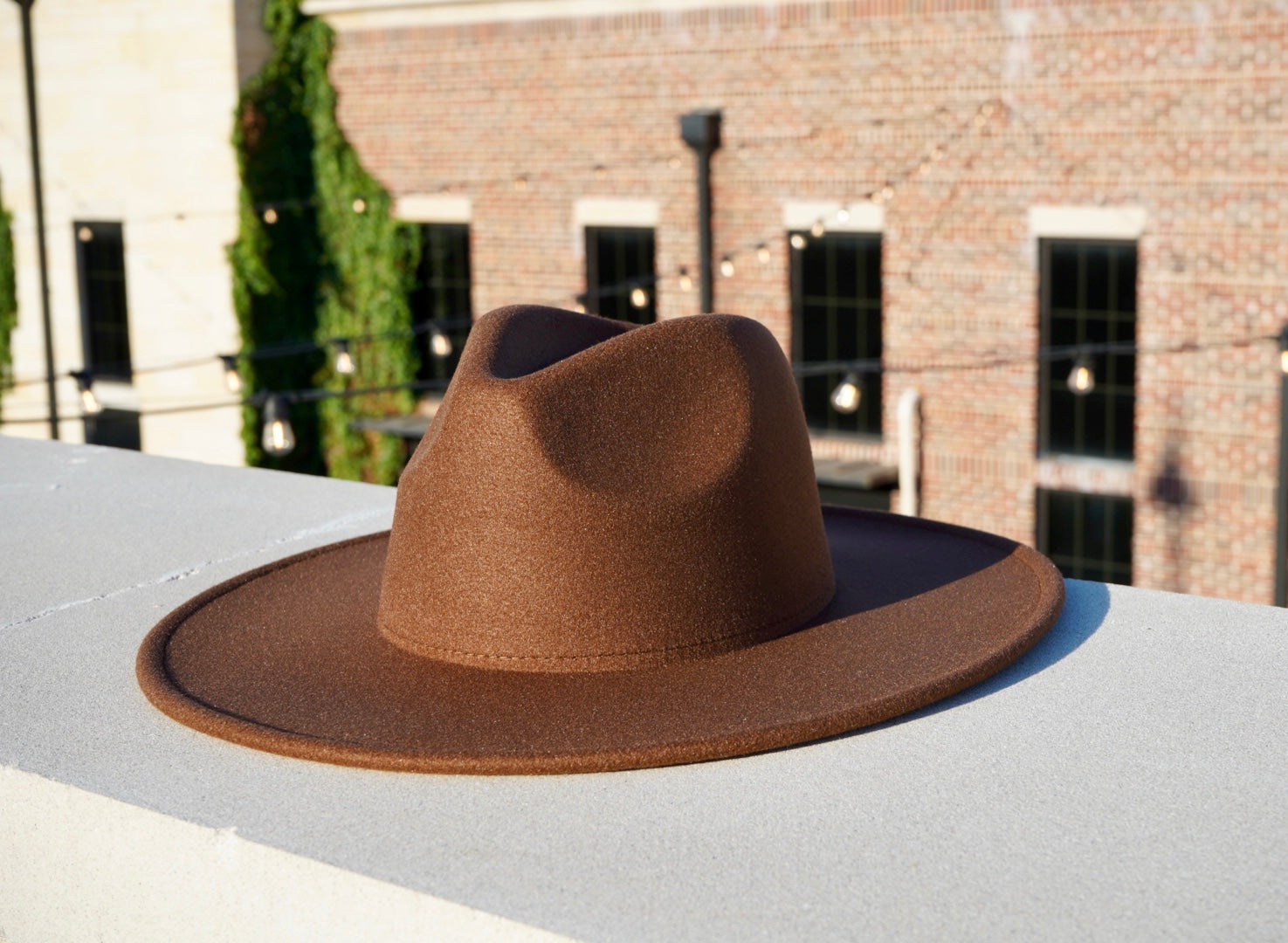 Brown wide brim fedora hat.